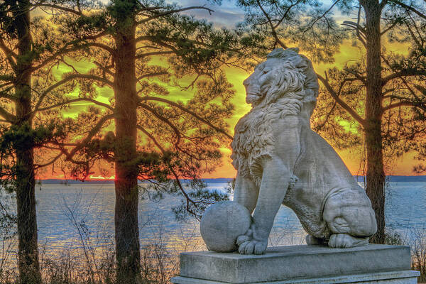 Lions Bridge Poster featuring the photograph Lion at Sunset by Jerry Gammon