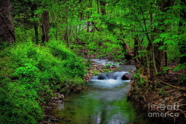 Cascade Poster featuring the photograph Little Cascade in Cherokee National Forest by Shelia Hunt