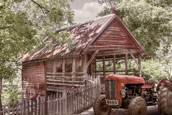 Barns Poster featuring the photograph Little Country Farmhouse Cabin by Debra and Dave Vanderlaan