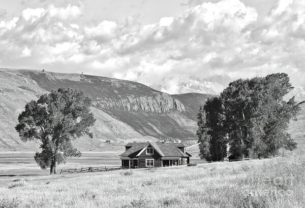 Wyoming Poster featuring the photograph Little house in the field by PatriZio M Busnel