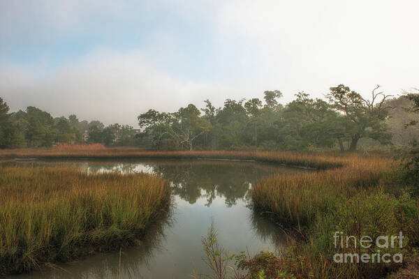 Marsh Poster featuring the photograph Lowcountry Salt Marsh - Morning Fog by Dale Powell