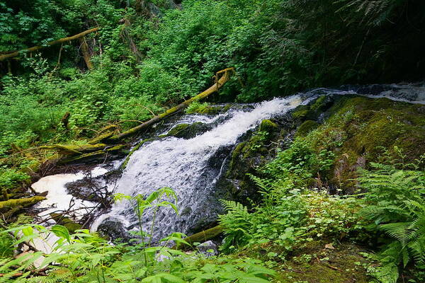 Landscape Poster featuring the photograph Lower Ludlow Falls by Bill TALICH