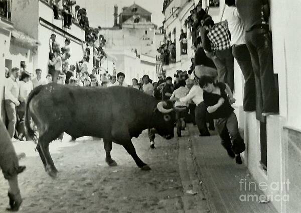 Film Camera Copy Poster featuring the photograph LOWRES Running of the Bulls-Acros 1970s by Tony Lee