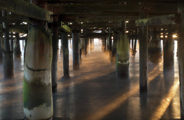 Piers Poster featuring the photograph Magic Under the Pier by Laurie Search
