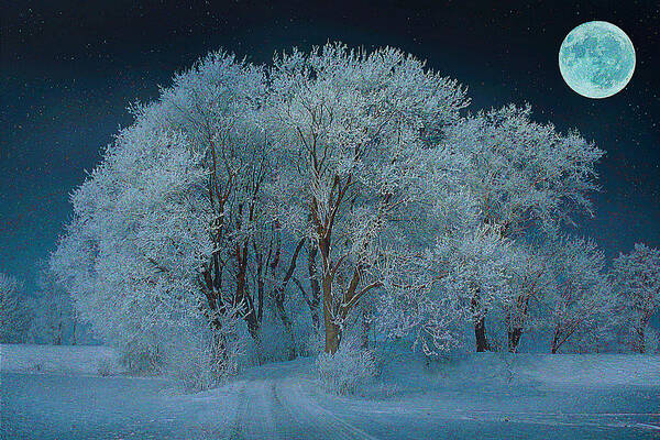 Winter Night Poster featuring the mixed media Magical Winter Night by Alex Mir