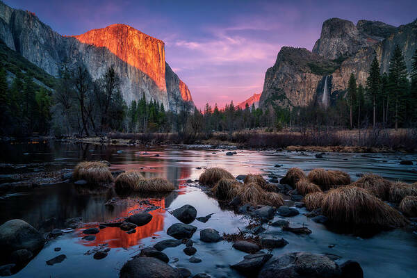 Yosemite Poster featuring the photograph Magical Yosemite by David Soldano