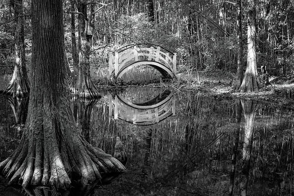 Marietta Georgia Poster featuring the photograph Magnolia Gardens Bridge by Tom Singleton