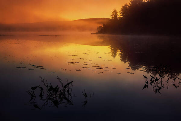 Landscape Poster featuring the photograph Maine Compass Pond 34A4045 by Greg Hartford