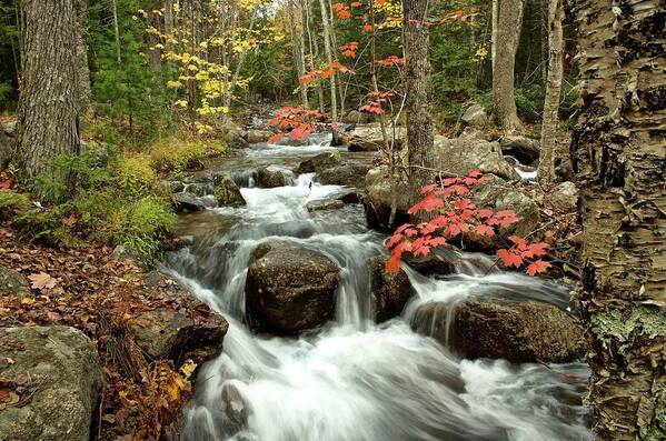 Maine Poster featuring the photograph Maine waterfall by Dmdcreative Photography