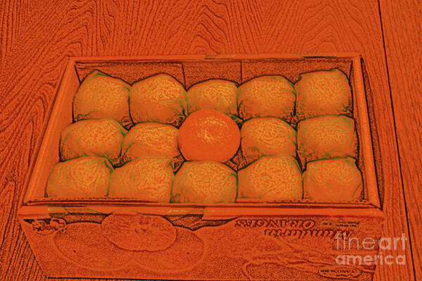 Fruit Poster featuring the digital art Mandarin Oranges by Mary Mikawoz
