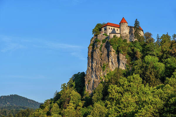 Bled Poster featuring the photograph Medieval Bled Castle On Rock by Artur Bogacki