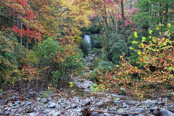 Smoky Mountains Poster featuring the photograph Meigs Falls 13 by Phil Perkins