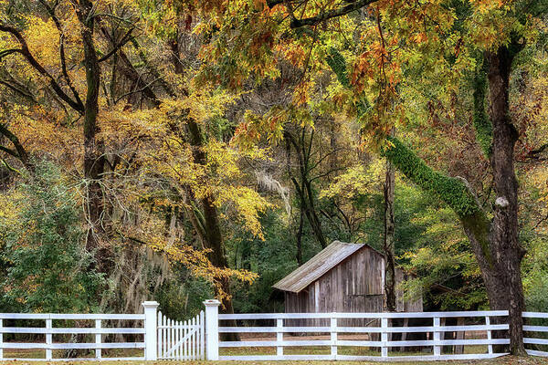Natchez Mississippi Poster featuring the photograph Melrose Barn by Susan Rissi Tregoning