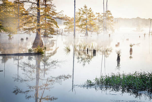 Noxubee National Wildlife Refuge Poster featuring the photograph Autumn Mist At Noxubee National Wildlife Refuge by Jordan Hill