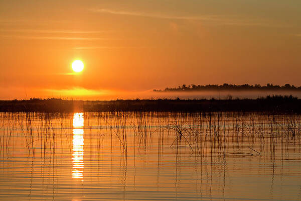 Orange Poster featuring the photograph Misty Orange Sunrise on Boy Lake by Patti Deters