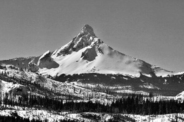 Snow Poster featuring the photograph Monochrome, Mt Washington in winter snow by Brent Bunch