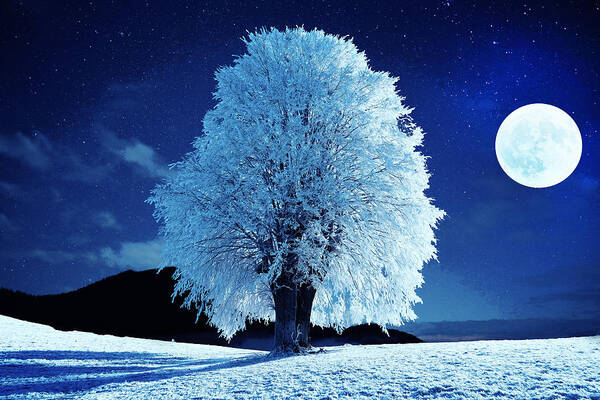Moonlit Night Poster featuring the photograph Moonlit Winter Night by Alex Mir