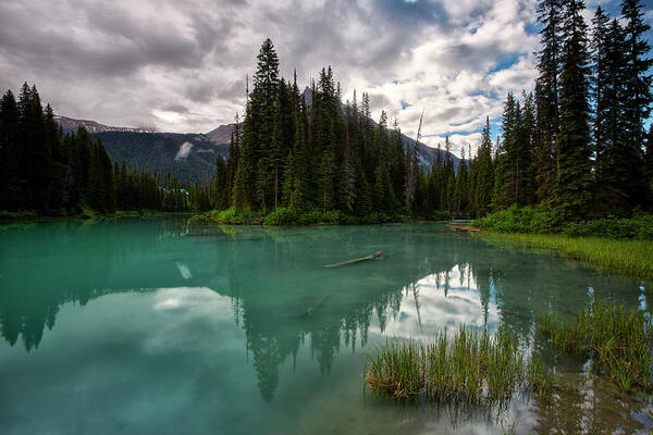 Alberta Poster featuring the photograph Morning Lake in Banff by Jon Glaser