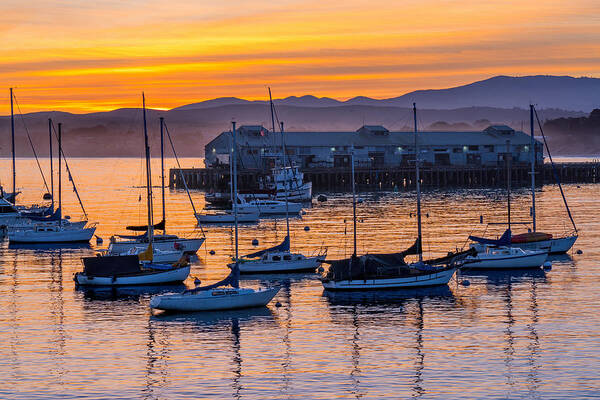 Monterey Poster featuring the photograph Morning Light in Monterey by Derek Dean