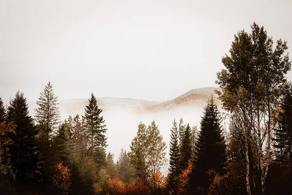 Canada Poster featuring the photograph Morning Mist by Carmen Kern