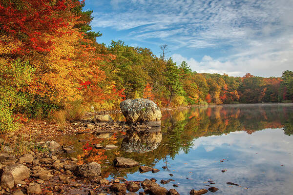 Frog Rock Poster featuring the photograph Morning reflection of fall colors by Jeff Folger