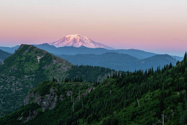 Outdoor; Hiking; Sunset; Boundary Trail; Mt St. Helens; Mountains; Mount Adams; Volcano; Blast Zone; Twilight; Pnw; Washington Beauty Poster featuring the digital art Mount Adams from Boundary Trail by Michael Lee