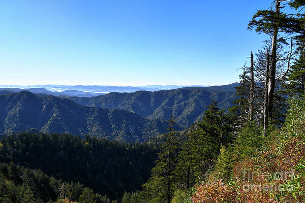 Mount Leconte Poster featuring the photograph Mount LeConte 7 by Phil Perkins