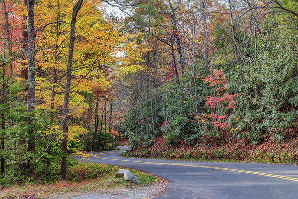 Fall Poster featuring the photograph Mountain Road by Jim Miller