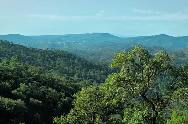 Mountains Poster featuring the photograph Mountains of Loule. Serra do Caldeirao by Angelo DeVal