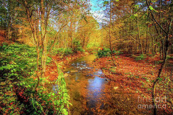 Autumn Poster featuring the photograph Mouth of Wilson in Autumn by Shelia Hunt