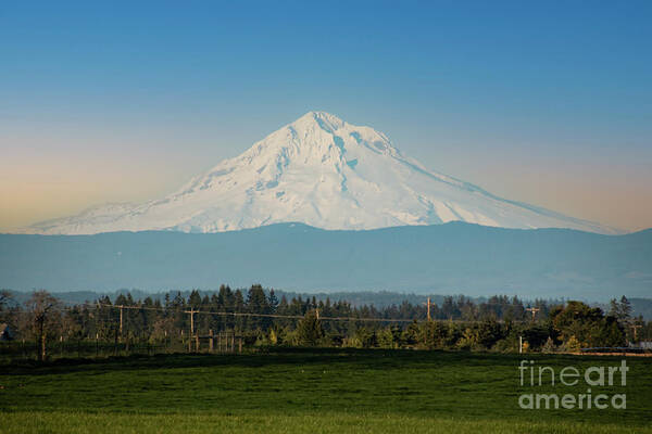 Mountain Poster featuring the photograph Mt Hood Oregon by Louise Magno