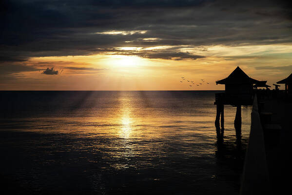 Florida Poster featuring the photograph Naples Sunset by Ed Taylor