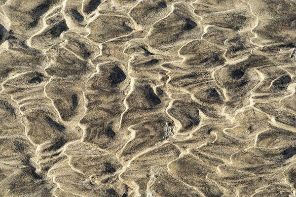 Natural Abstract Poster featuring the photograph Natural Abstracts - Capricious Sand Patterns in Beige Taupe and Earthy Brown by Georgia Mizuleva
