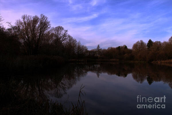 Landscape Poster featuring the photograph Natures Reflections 2 by Stephen Melia