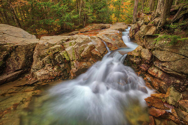 Franconia Notch State Park Poster featuring the photograph New Hampshire Waterfalls by Juergen Roth