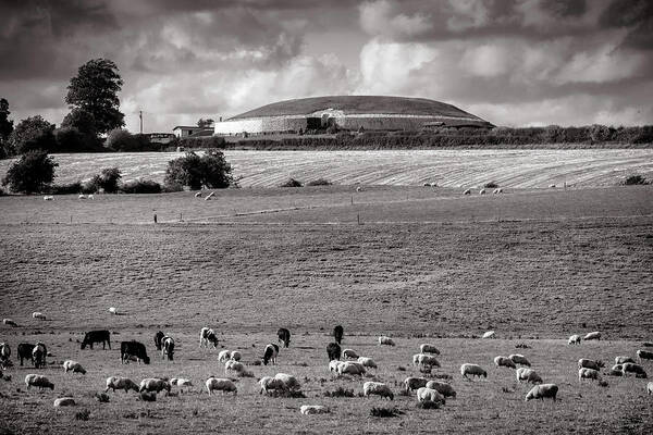 Ireland Poster featuring the photograph Newgrange Pastoral by Sublime Ireland