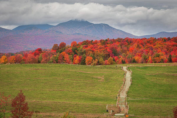 Fall Poster featuring the photograph Northern Vermont Fall by Tim Kirchoff