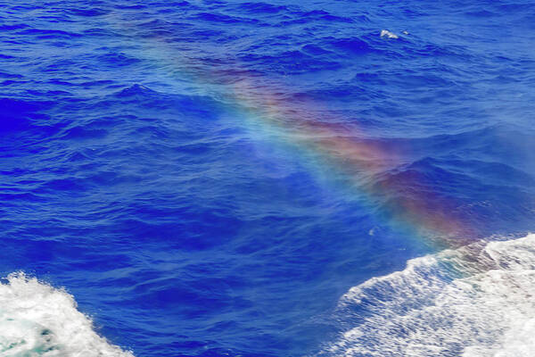 Rainbow; Water; Travel; Color Poster featuring the photograph Ocean Rainbow by AE Jones