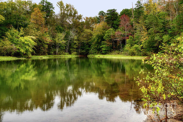 Latta Plantation Poster featuring the photograph October Color at Mountain Island Lake by Amy Dundon