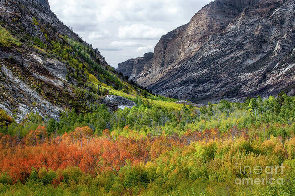 Ruby Mountains Poster featuring the photograph October In Lamoille Canyon by Leslie Wells