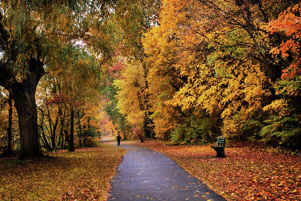 Autumn Poster featuring the photograph October Promenade by Jessica Jenney