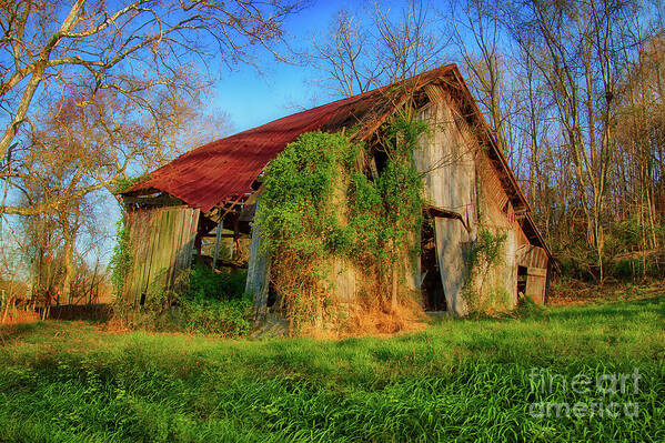 Fall Creek Poster featuring the photograph Old Barn at Fall Creek by Shelia Hunt
