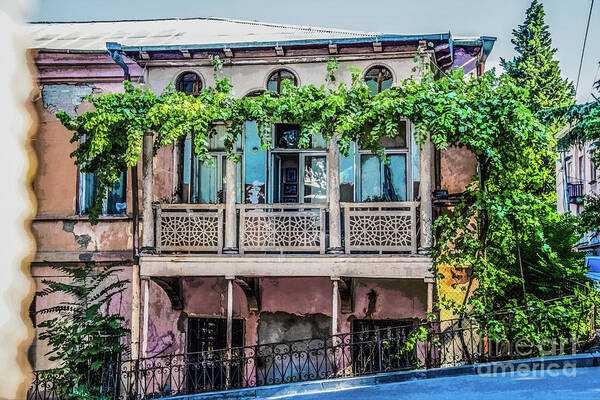 Tiflis Poster featuring the photograph Old ornate grungy house in Tbilisi Georgia covered with grape vines by Susan Vineyard