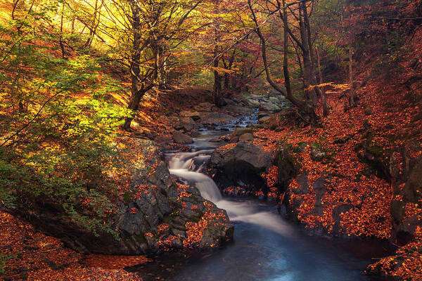 Mountain Poster featuring the photograph Old River by Evgeni Dinev