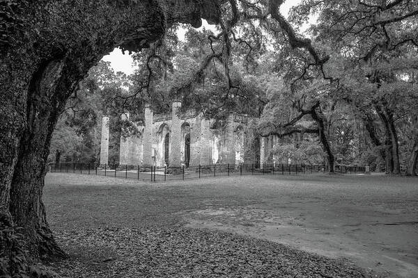 Yemassee Poster featuring the photograph Old Sheldon Church Ruins in Black and White by Cindy Robinson