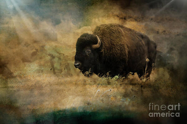 Bison Poster featuring the photograph One of a Kind by Janie Johnson
