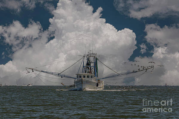 Mrs Judy Too Poster featuring the photograph Open Seas Lowcountry Shrimping by Dale Powell