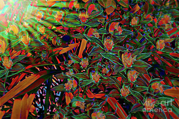 Abstract Poster featuring the photograph Orchids impression in sunlight by Roslyn Wilkins