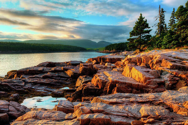 Acadia National Park Poster featuring the photograph Otter Cove 3368 by Greg Hartford