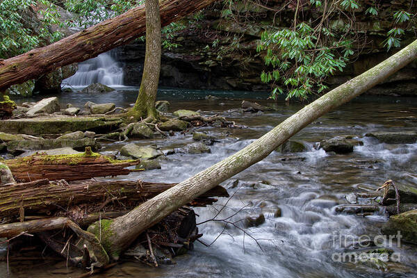 Ozone Falls Poster featuring the photograph Ozone Falls 35 by Phil Perkins